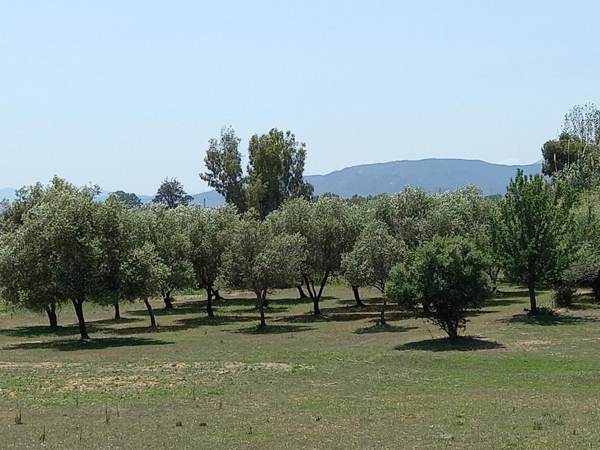 Basecamp Ogliastra - Flat Green Santa Maria Navarrese Zewnętrze zdjęcie